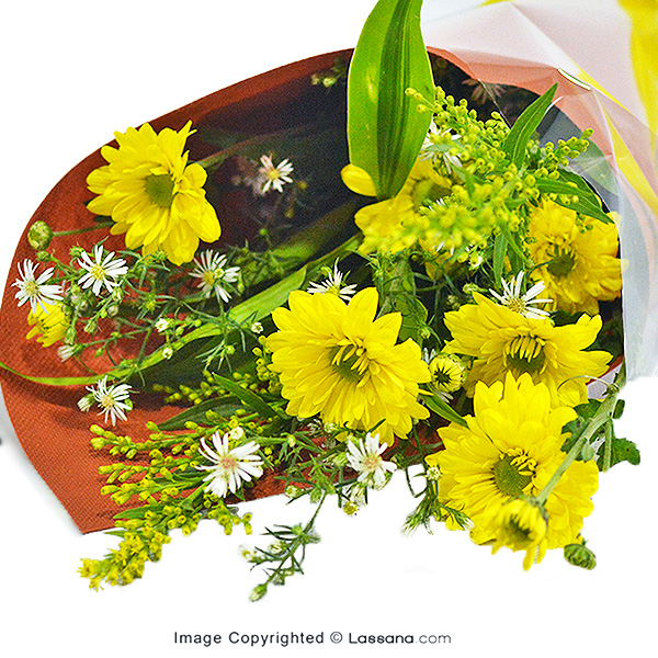SUNNY CHRYS - Exotic Chrysanthemums - in Sri Lanka